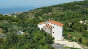 House Carso Olea